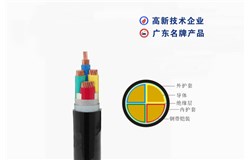 ZR-VV22 0.6/1kV ZR-VV22 0.6/1kV