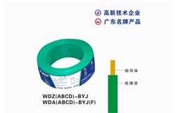 WDZ(A B C D)-BYJ WDZ(A B C D)-BYJ