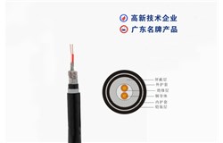 DJYPVP22-300/500V DJYPVP22-300/500V