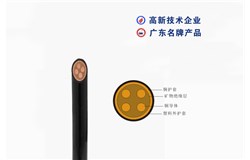 WD-BTTYZ-750V WD-BTTYZ-750V