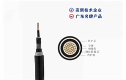 KVV32-450/750V KVV32-450/750V