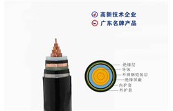 ZC-YJV62-26/35kV ZC-YJV62-26/35kV