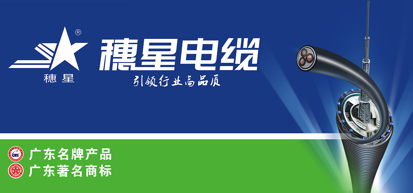 j9国际集团电缆再次荣获"广东省名牌产品"称号