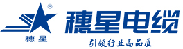j9国际集团深化“服务领先”战略在行动